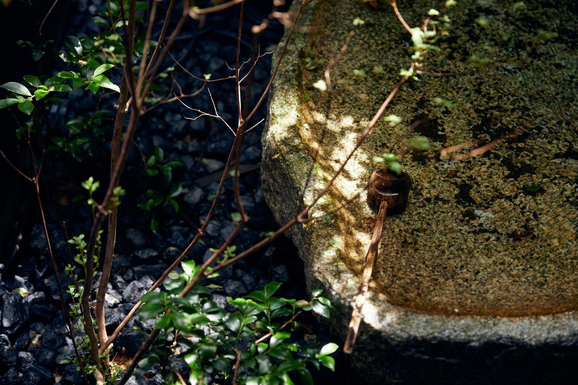 Yadoru Kyoto Hanare Mizunoe No Yado Bagian luar foto